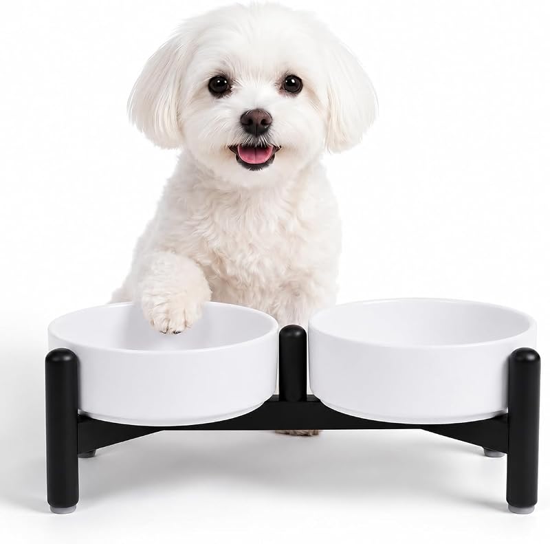 Comedouro Elevado para Cães e Gatos em Cerâmica PTOBER com Suporte de Aço Inoxidável, 420 mL
