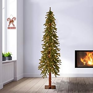 National Tree CED7 60LO S Tree 6 ft Green Pre lit Artificial Christmas Tree Includes Pre strung White Lights Hickory Cedar 4 ft