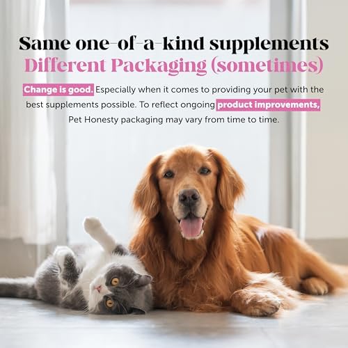 6 Billion CFU Dog Probiotics with Prebiotics, Digestive Enzymes, & Fiber - Relief for Occasional Diarrhea, Gas, Bloating & Itchy Skin - Daily Gut Health & Immune Support for All Dogs (Pumpkin, 90 ct) — view 8