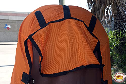 Hilason 69 Inches Horse Ultra Violet Rays Protect Mesh Bug Mosquito Horse Fly Sheet Summer Spring | Fly Sheet | Horse Turnout Sheet | Fly Sheet For Horses | Bug And Mosquito Protection | Fly Sheet For #TOP7