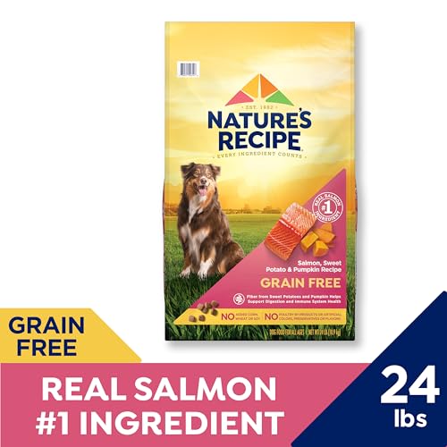 Nature’s Recipe Grain Free Dry Dog Food Salmon, Sweet Potato & Pumpkin Recipe, 24 lb. Bag - Image 3