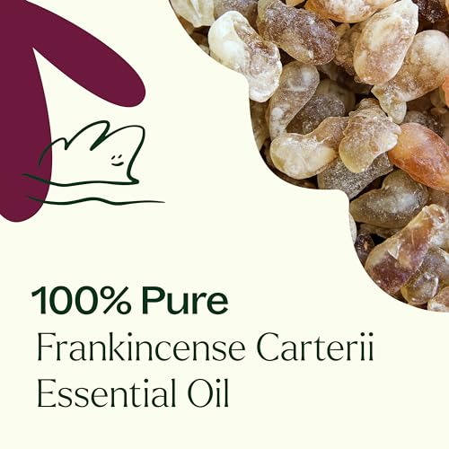 Aceite Esencial Frankincense Carterii 30 mL miniatura 5