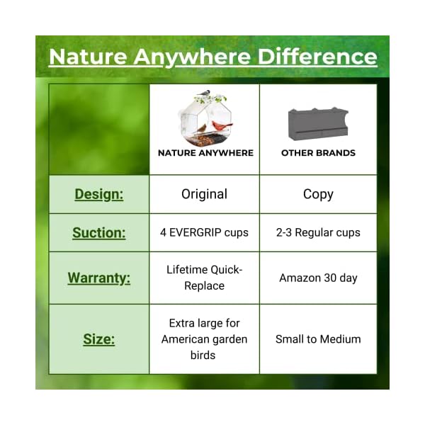 Nature Wherever Clear Acrylic Window Hen Feeders for Outside - Enhanced Suction Grip, Hen Expecting Cats, Simple-to-Clear, Outside Birdhouse Feeder - Image 6