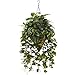 Nearly Natural Vining Mixed Greens with Cone Hanging Basket,12' x 35' x 12'
