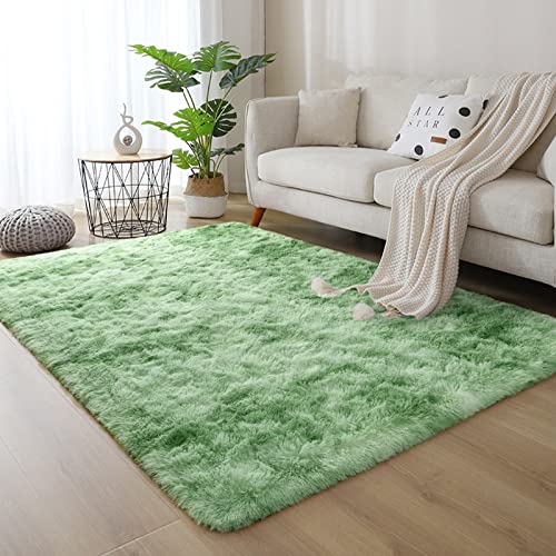 Dweike Large Fluffy Area Rugs For Bedroom Living Room, 5X8 Feet Indoor Carpets For Boys Girls Teenagers And Adults, Tie-Dyed Fuzzy Rugs, Super Soft Kids' Rugs, Nursery Decor Rugs, Light Green #TOP2