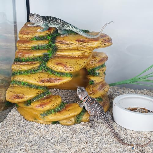 Reptile Cave Hideout Habitat, Great for Bearded Dragons, Leopard Geckos, Lizards, Turtles, Snakes, Frogs, Scorpions, Spiders and Other Reptiles, Amphibians (B - Large) - Thumbnail 2
