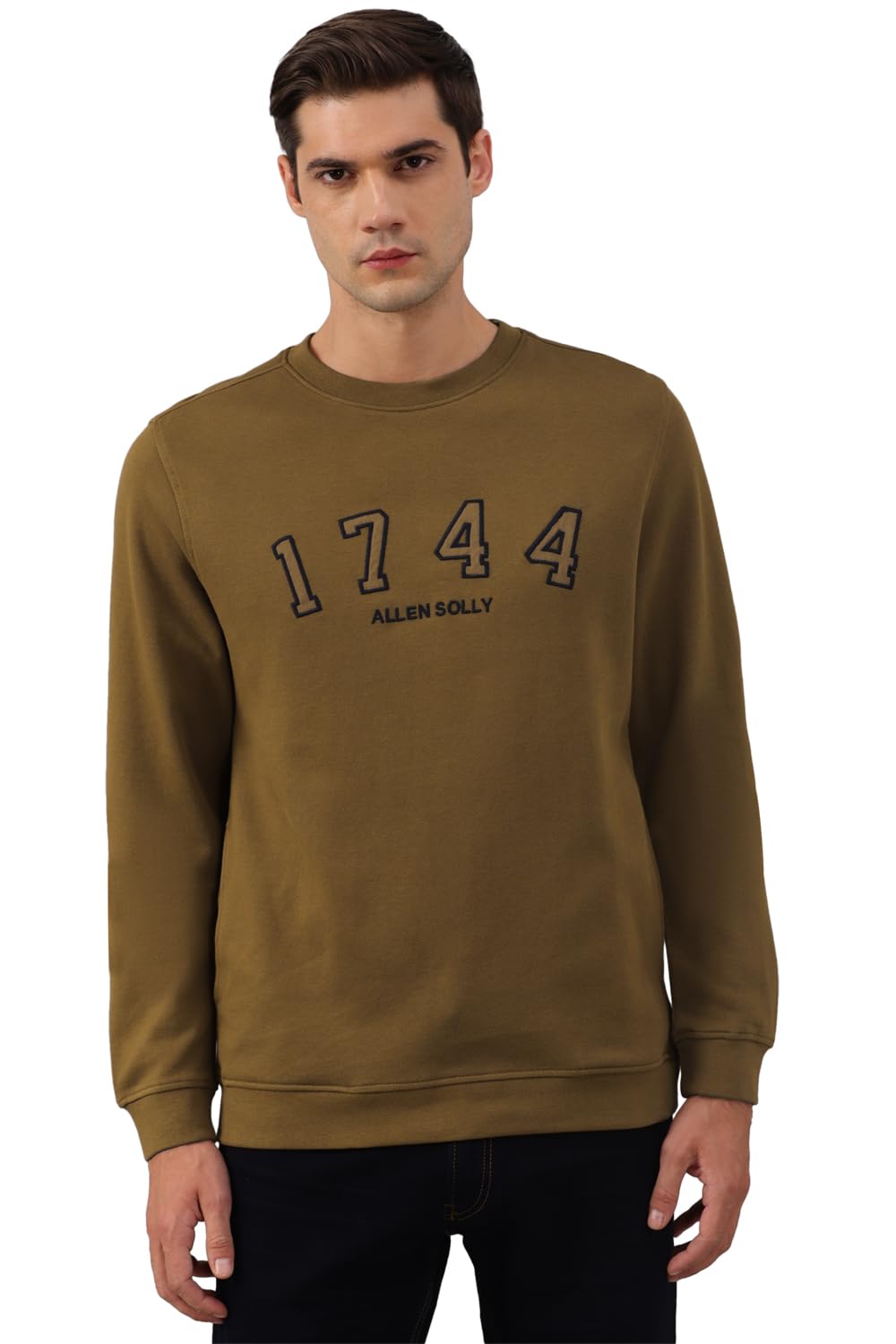 Men Cotton Crew Neck Sweatshirt-image-24