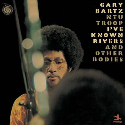 I've Known Rivers and Other Bodies