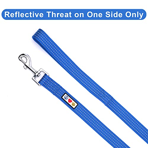 Pawtitas 6 Ft Pet Puppy Leash Reflective Dog Leash Comfortable Handle Highly Reflective Threads Heavy Duty Dog Training Leash Available As A 6 Ft Small Dog Blue Leash #TOP2