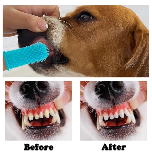 Zahnreinigungsset 2 Stück Dreifach Köpfe Hundezahnbürsten, 4 Finger Zahnbürste, 4 Doppelköpfige Zahnbürste, Zahnbürste für Hunde Kleine/Katze Mittelgroße und Große Haustiere