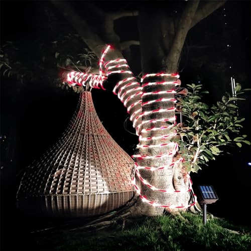 QITONG Solar Christmas Lights, 2 Pack Each 33ft 100 LED Red & White Candy Cane Rope Light Outdoor Waterproof, 8 Modes Fairy Lights in Clear Thin Tube by QITONG - Image 5