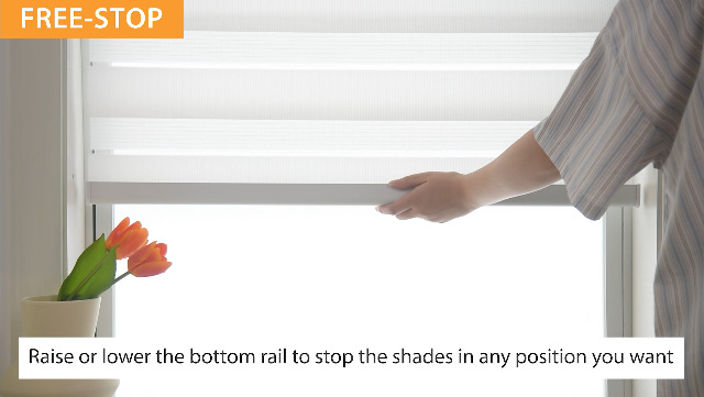 Amazon.com: LazBlinds Cordless Dual Layer Zebra Blinds for Windows