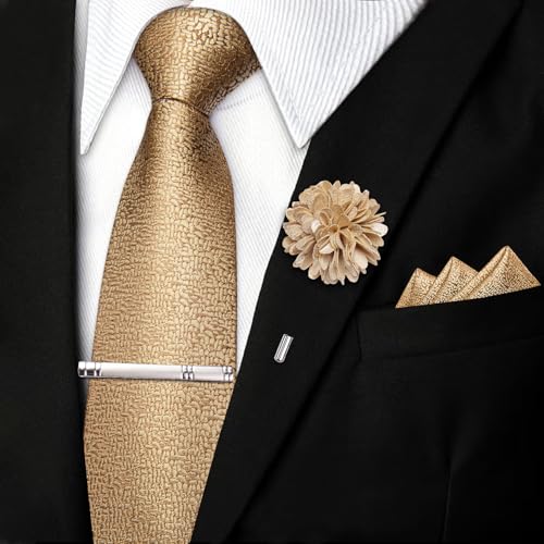 Image of DiBanGu Silk Zipper Ties for Men, Formal Pre-tied Necktie | Adjustable Tie,6PCS,Various Design Styles,Jacquard Woven,Skin-friendly,Practical Gift,Great for Wedding Party,Business Formal