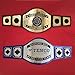 HANDSY Customizable Championship Belt - Personalized Custom Wrestling Belt - Custom Championship Belts for Award Sports Events (2mm Brass)