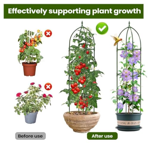 Tutor para plantas trepadoras exterior enrejado de jardín y eventos decorativos altos 6
