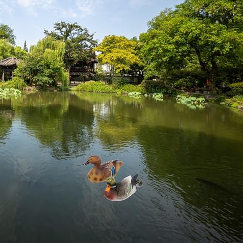 Canard Colvert en Résine Solide, Statues Résistantes Intempéries