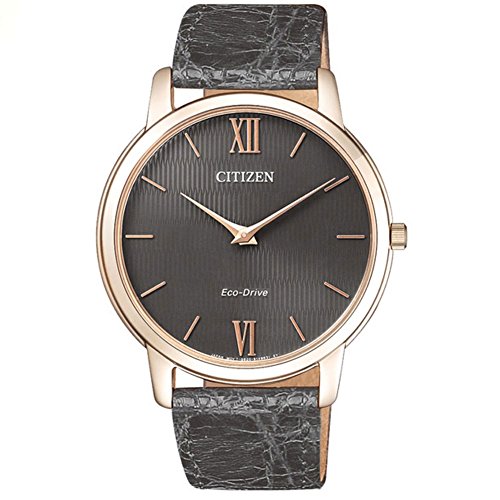 Citizen Orologio Unisex Ar1133-31H