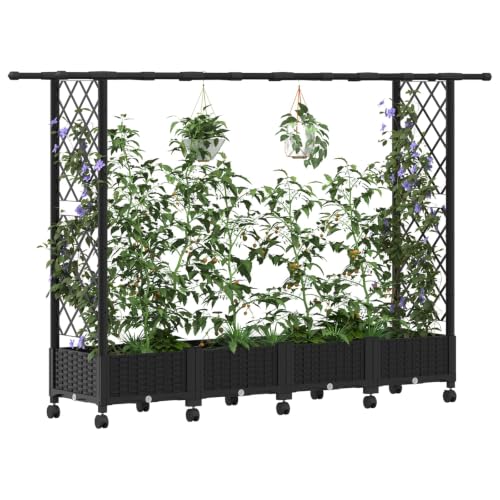 Jardinera con desagüe para evitar la acumulación de agua en raíces de hierbas 3