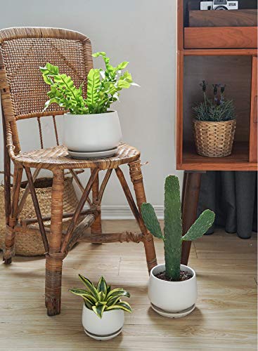 LE TAUCI Blumentopf Keramikmit Untersetzer, 10+13+16 cm, 3er Set, Weiß – Ansicht 6