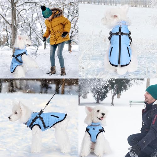 Savlot Hundemantel Wasserdicht Hundejacke Hundepullover mit Reißverschluss Kleine Hunde Winter Warme Jacke Winddicht 2 in 1 Outfit