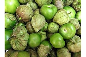 Grande Rio Verde Certified Organic Tomatillo Seeds for Planting 0.5+ Grams of...