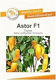 Gärtner's erste Wahl! bobby-seeds.com