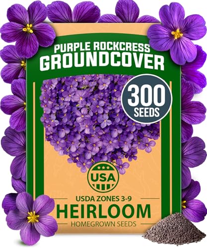 HOME GROWN Aubrieta Rock Cress Purple, Flowering Ground Cover Seed Pack, Non GMO Perennial Cress...
