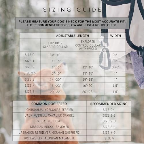Made to ROAM Premium Dog Collar - Adjustable Heavy Duty Nylon Collar with Quick-Release Metal Buckle (Maine Marina, Classic Size 3) #4