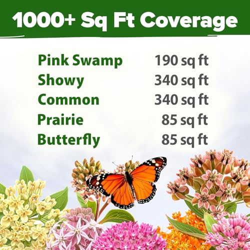 Image of HOME GROWN Milkweed Flower Seeds - 500+ Heirloom Perennial Wildflower Seeds (5 Individual Varieties) Supports Monarch Habitat, Grows in Zones 3-11 (Asclepias syriaca)