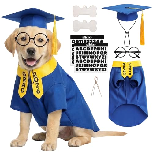 Disfraz de graduación para perro, tamaño mediano azul