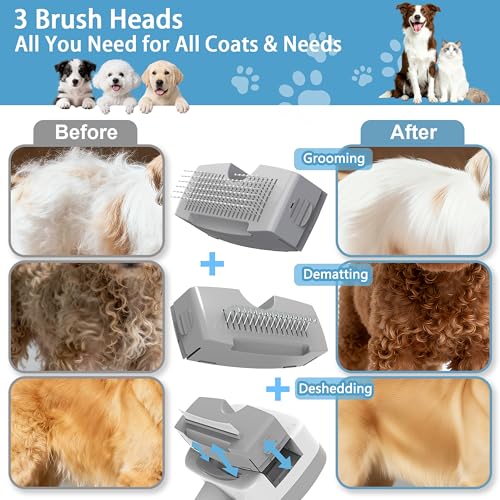 Image of 5 in 1 Pet Steam Brush for Dogs & Cats - Self Cleaning, 3 Pet Brush for Smoothing, Dematting, Thinning - Shedding, Grooming & Hair Removal, Includes Shampoo & Storage Case (8.0 inch-promax)