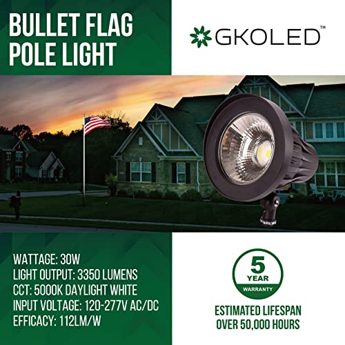 Gkoled 30W 5000K Bullet/Round Outdoor Spotlight, Narrow Beam Angle Light With 30-Pack Waterproof Large Size Wire Connectors #TOP1