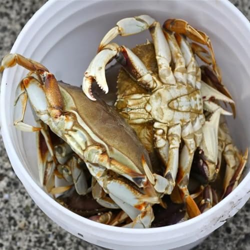 327: Two Hours of War