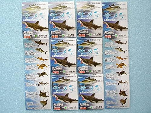 Amazon Co Jp サメ 日本近海の生き物たちストラップ 全８種 地球生命紀行 エポック ホビー 通販