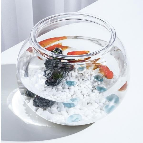流木ガラス オブジェ特大W 花瓶 魚鉢 ガーデニング テラリウム 観賞魚