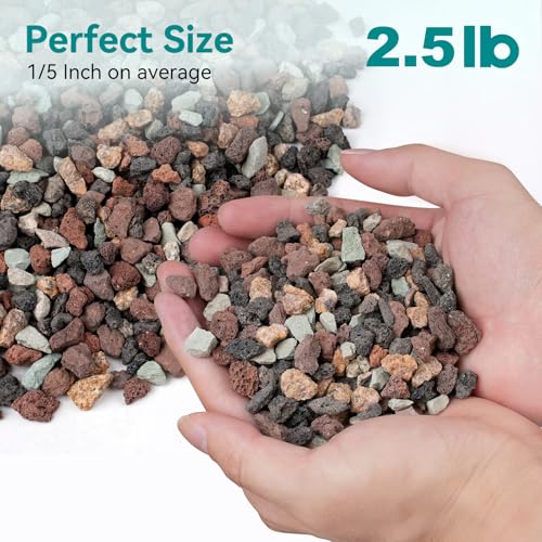Image of 2.5lbs Mix Horticultural Lava Rock for Plants, 1 /5 Inch Potting Soil Amendment for Succulents, Cactus & Bonsai, Decorative Volcanic Gravel for Terrarium, Drainage Gritty Rock, Top Dressing