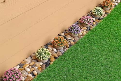Guijarros naturales decorativos, 3-5 cm piedras mezcladas de alto pulidao, naturales para acuarios, macetas, paisajismo, bricolaje, decoración del hogar y jardín. (Color variado alto pulido, 5 Kg) - imagen 6