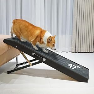 PETKARAY Dog Ramp for Bed, Stepless Adjustment Dog Ramp for Couch, Folding Wooden Pet Ramp for Large Dogs, 47″ Long Adjustable Height 9″-24″, Black