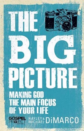 Big Picture, The Big Picture, The book cover