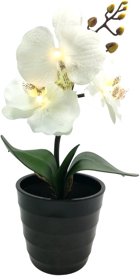 BABALI Lighted Artificial Orchids Potted Plants Battery Powered 11 Inches Tall Warm White LED 3PCS White Silk Moth Orchid Fake Flowers for Home Office Hotel Indoor Decoration