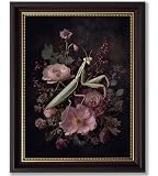 Vbaourut Gothic Insect Framed Wall Art