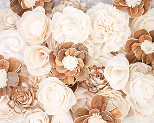 Sola Wood Flowers 50 zufällige Auswahl Cover