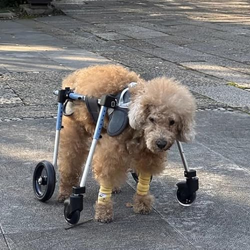 Chariot pour animaux à structure ajustable et roues d'exercice pour la marche