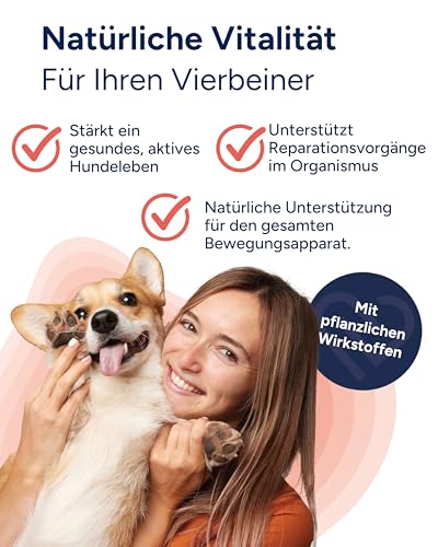 NutriLabs Dexboron® forte Hunde Kautabletten 50 STK. - Tabletten mit Teufelskralle für Hunde - Hunde Regenerationsmittel mit Weidenrinde, Weihrauchextrakt u.v.m. - Hunde Regenerationsmittel