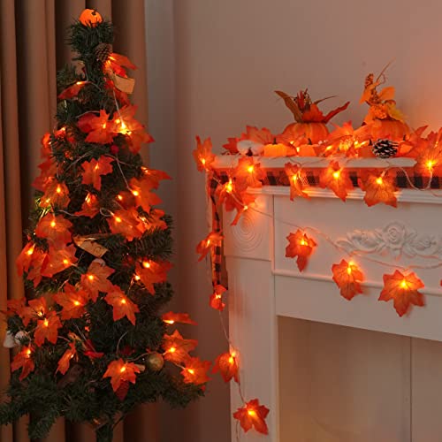 Yeguo 2 Pcs Fall Decorations For Home, Thanksgiving Lights Battery Operated thumb #5