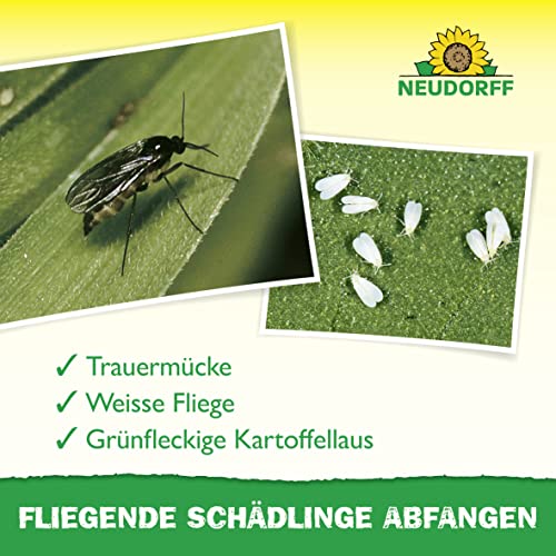 Neudorff Gelbsticker gegen kleine Fliegende Schädlinge wie Trauermücken, insektizid frei, geruchlos, 10 Stück (1er Pack)