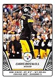 2019 NFL Stickers Collection #158 Chris Boswell Pittsburgh Steelers (Small, Thin, Peelable Official Panini Sticker Football Card)