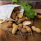 semi arachidi per semina Gli piacciono i luoghi soleggiati e non necessitano di alcuna cura speciale. Se la crescita è lenta, raccomandiamo di potare regolarmente. Molto resistente.