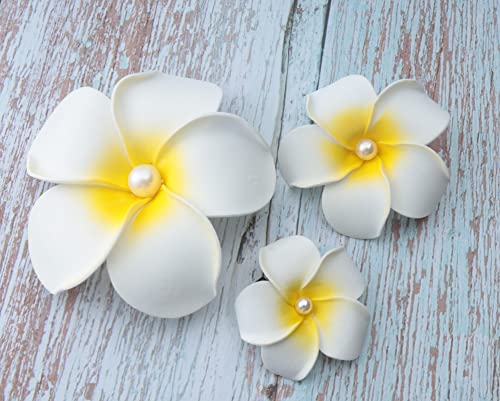 Sowaka Three Piece Plumeria Flower Hair Clips #TOP30