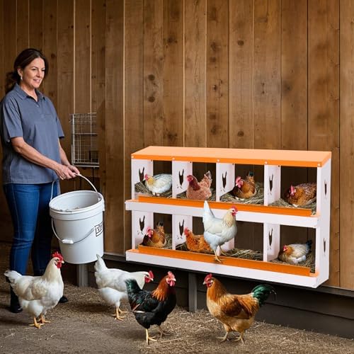 GarveeLife Chicken Nesting Boxes, 8-Hole Roll Away Nest Box for Chicken Coop, Metal Egg Laying Box with Lid Cover to Protect Eggs, Rollout Egg Collection, Vented Holes for Outdoor Chicken Coop - 2